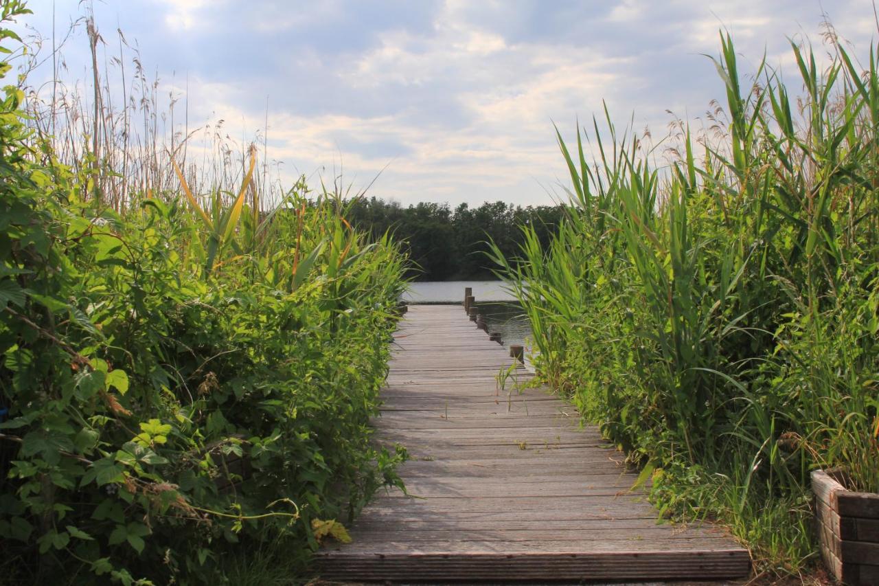 Moderne Und Helle Ferienwohnung Am Ploener See Bosau Экстерьер фото